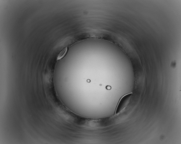 X0000101400078200807141207