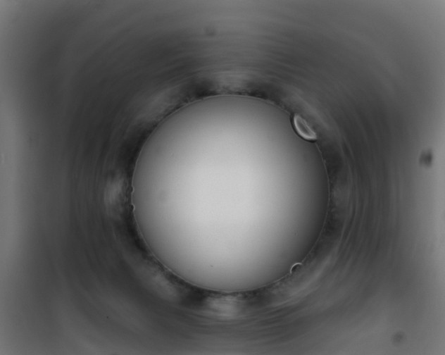 X0000101400079200807141207