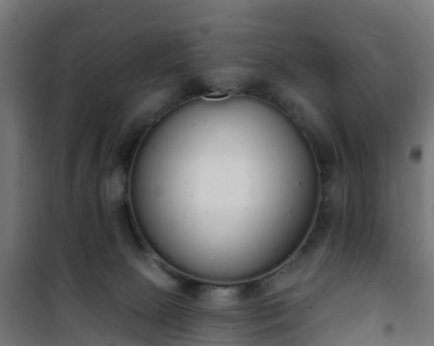 X0000101400081200807141207