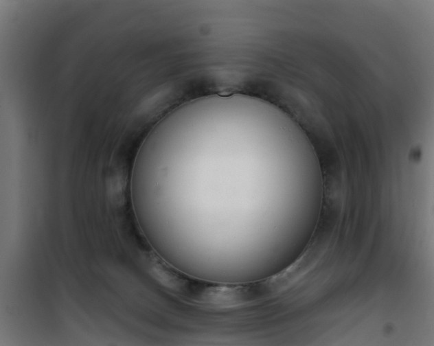 X0000101400082200807141207