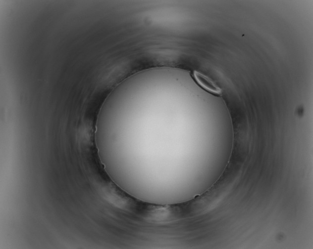 X0000101400083200807141207