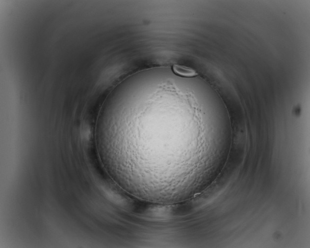 X0000101400084200807141207