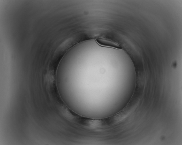 X0000101400085200807141207