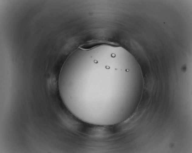 X0000101400086200807141207