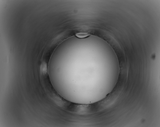 X0000101400089200807141207