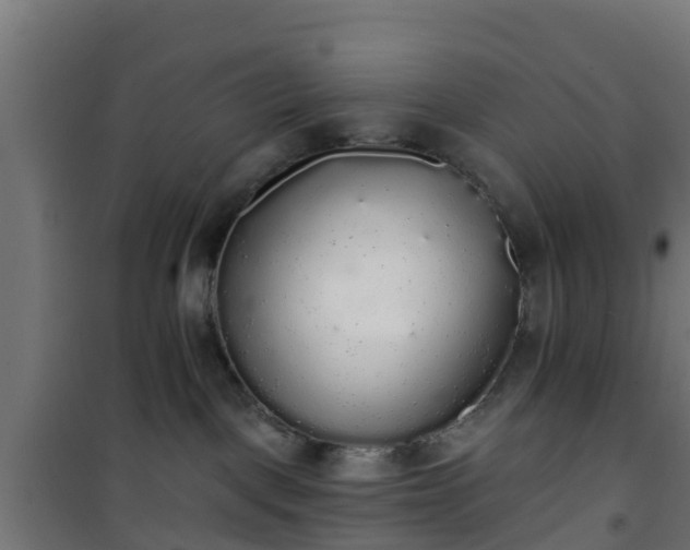 X0000101400093200807141207