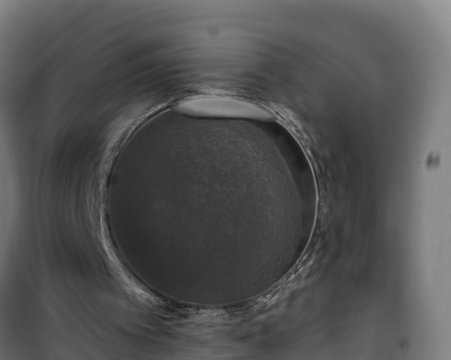 X0000101400097200807141206