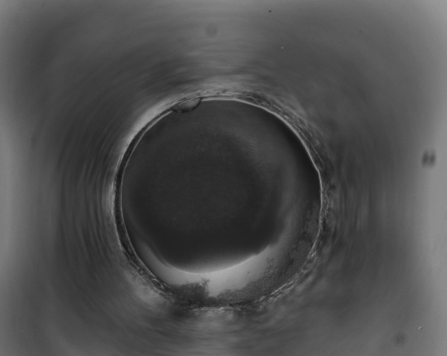 X0000101400100200807141206