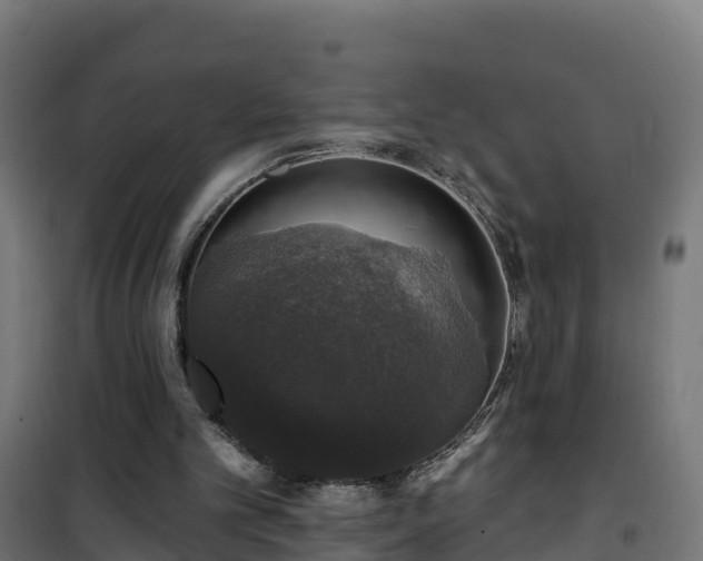 X0000101400101200807141206