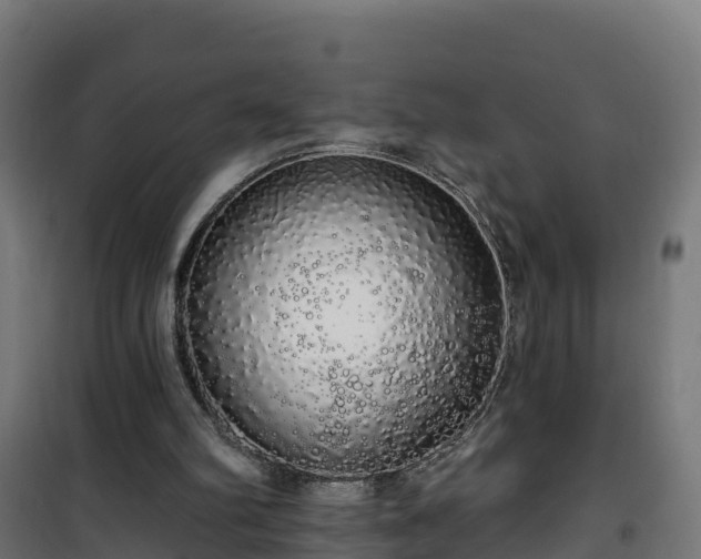 X0000101400102200807141206