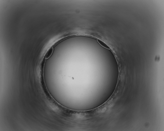 X0000101400103200807141206