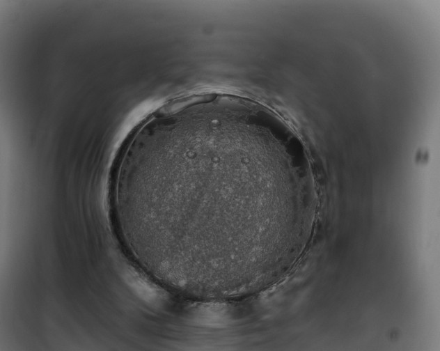 X0000101400104200807141206