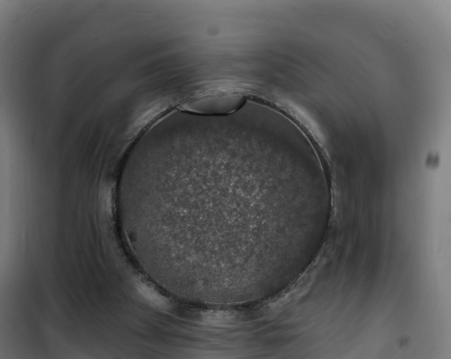 X0000101400105200807141206