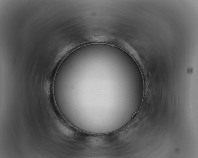 X0000101400106200807141206