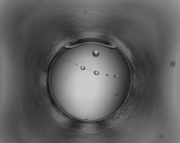 X0000101400107200807141206