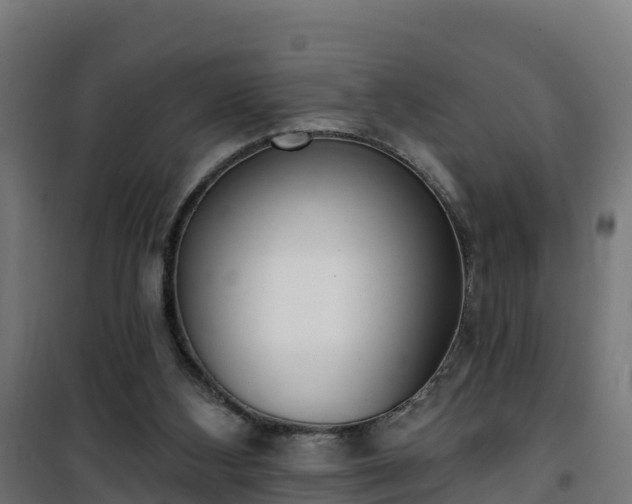 X0000101400108200807141206