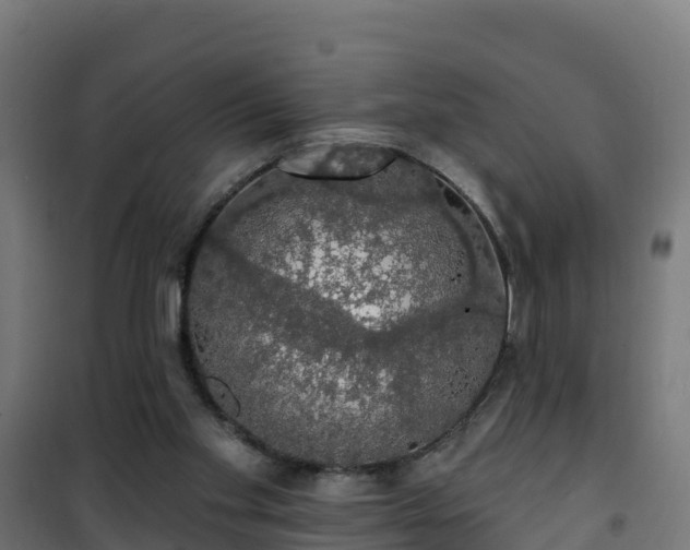 X0000101400109200807141206