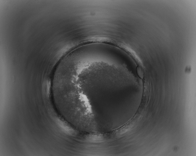 X0000101400110200807141206