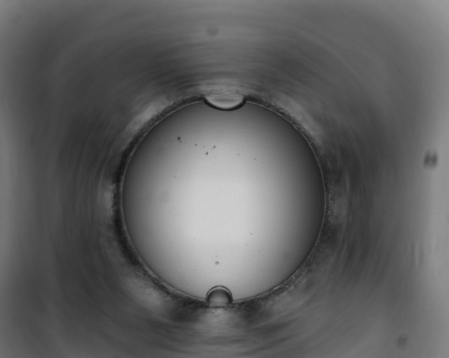 X0000101400111200807141206