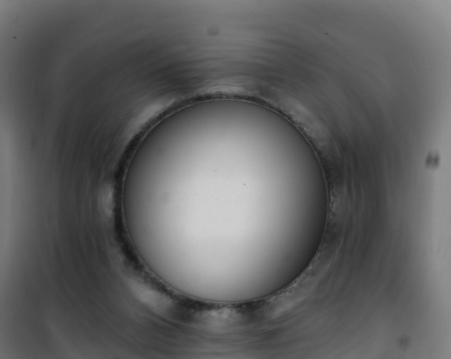 X0000101400112200807141206