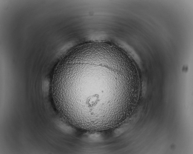 X0000101400113200807141206