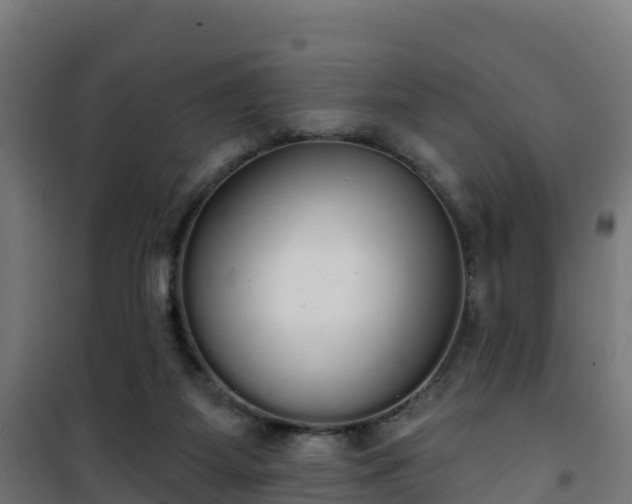 X0000101400115200807141206