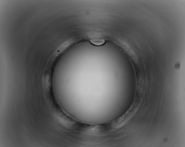 X0000101400116200807141206