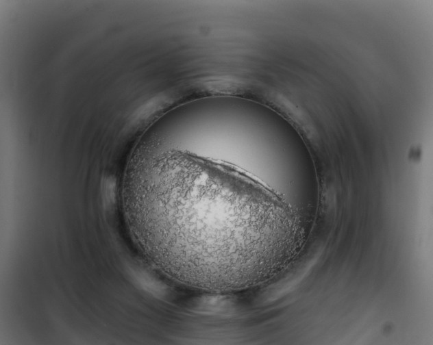 X0000101400117200807141206