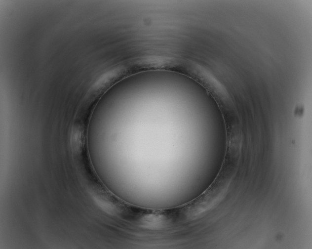 X0000101400119200807141206