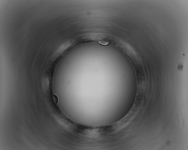 X0000101400120200807141206