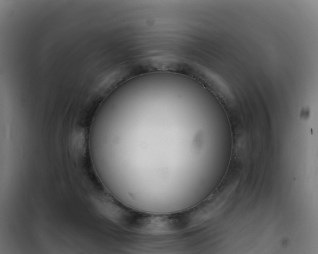 X0000101400121200807141206