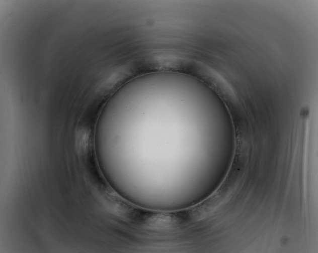 X0000101400123200807141206