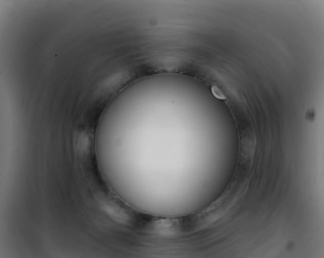 X0000101400126200807141206