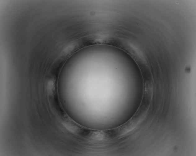 X0000101400127200807141206