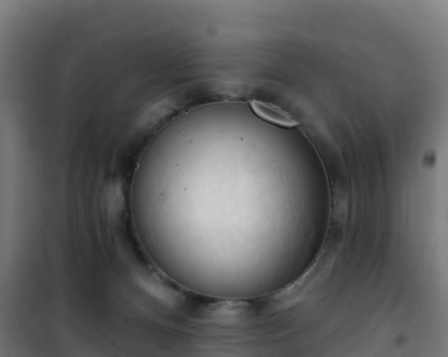 X0000101400128200807141206