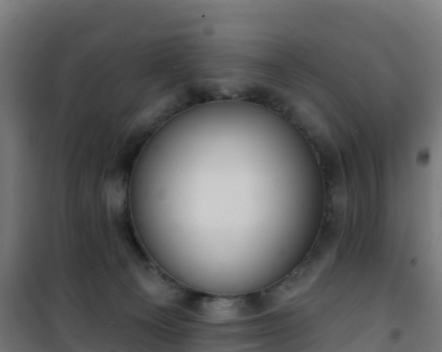 X0000101400129200807141206