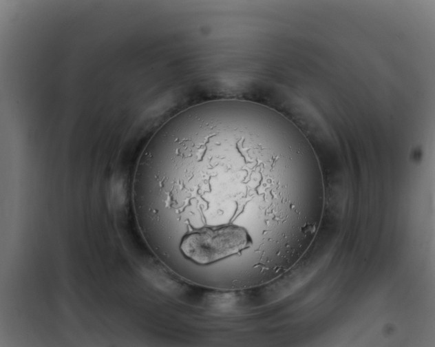 X0000101400131200807141206