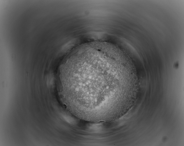 X0000101400132200807141206