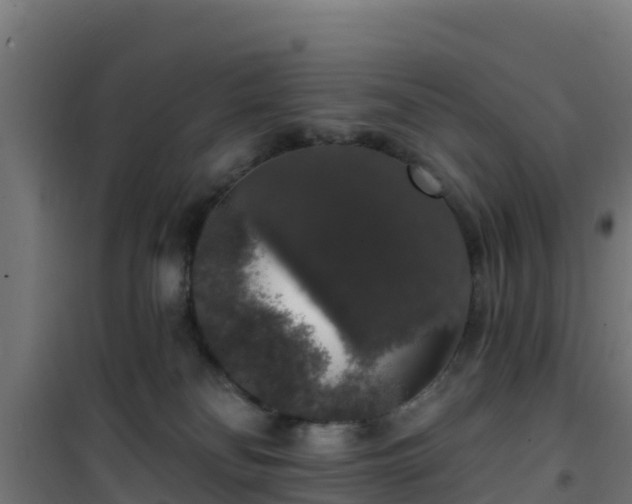 X0000101400134200807141206