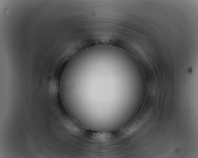 X0000101400135200807141206