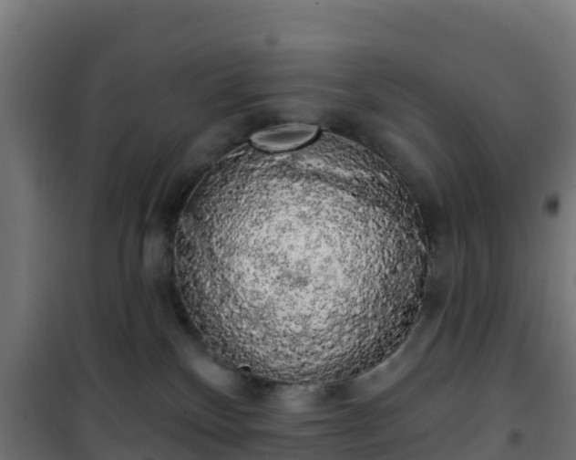 X0000101400136200807141206