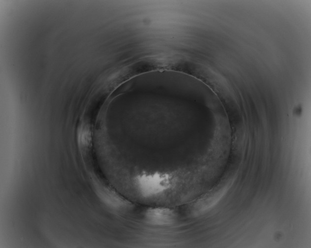 X0000101400137200807141206