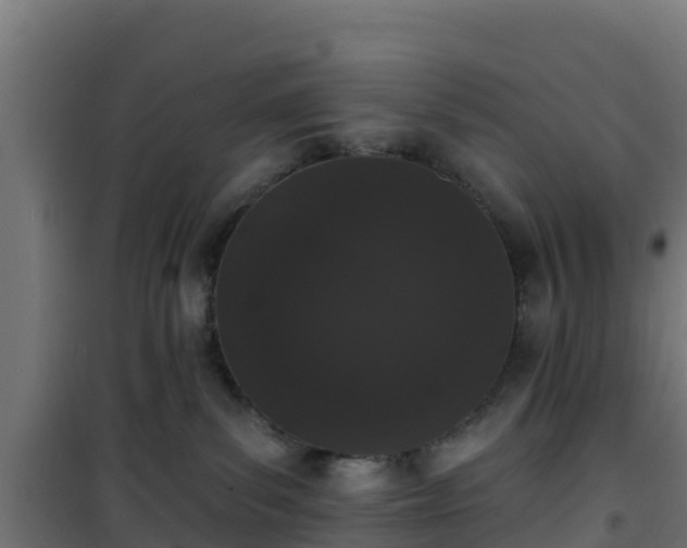 X0000101400139200807141206