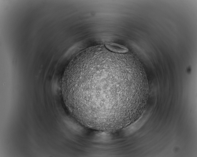 X0000101400140200807141206