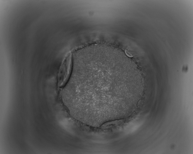 X0000101400144200807141206