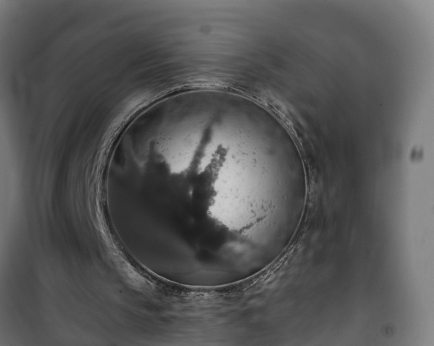 X0000101400145200807141205