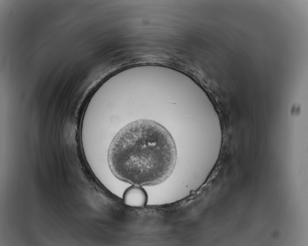 X0000101400146200807141205