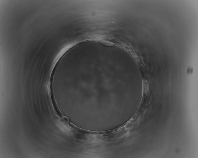 X0000101400147200807141205