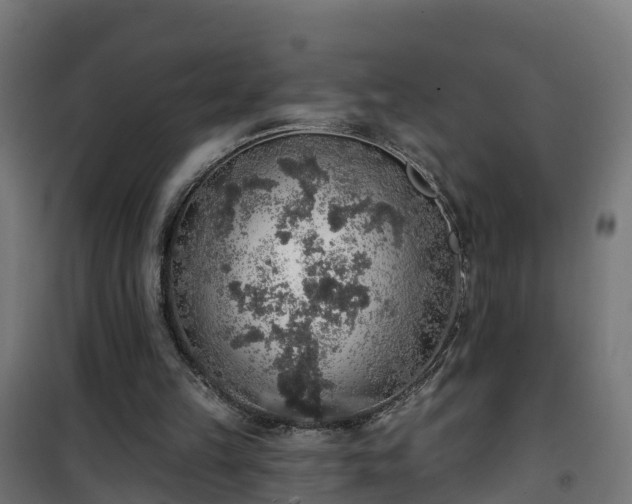 X0000101400149200807141205