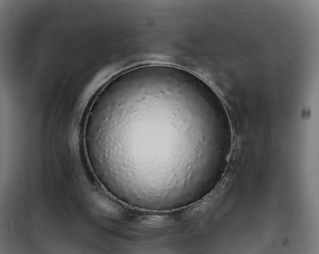 X0000101400151200807141205